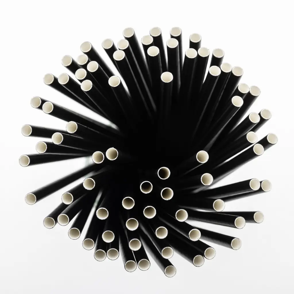 Paille en carton noire F&G 210 × 6 mm, sachet de 250