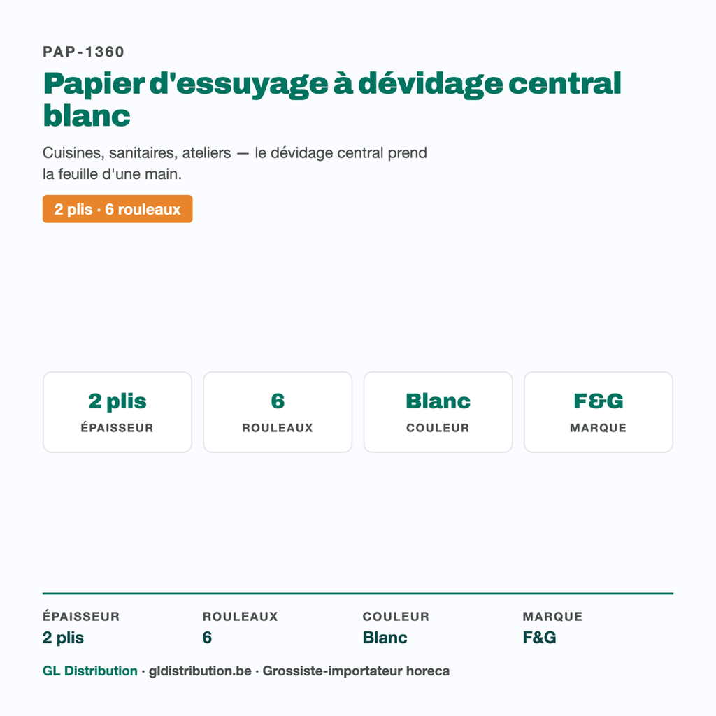 Papier d'essuyage dévidage central blanc 2 plis — 6 rouleaux, spécifications