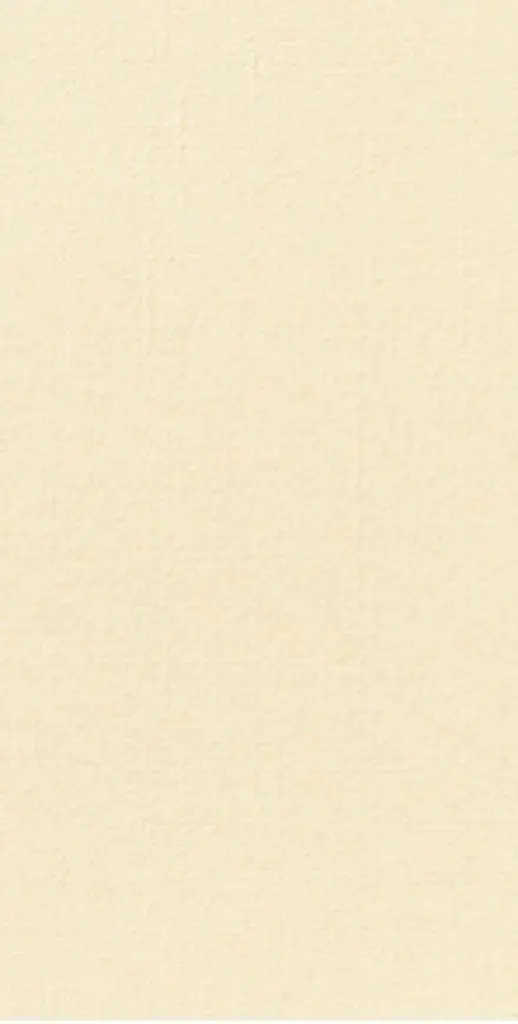 Coloris Crème de la serviette en airlaid Dunisoft Duni 40 × 40 cm — pliage 1/8, 360 pièces