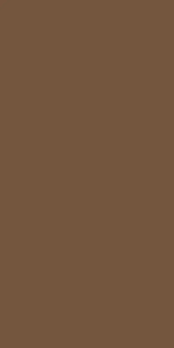 Coloris Chestnut de la serviette en airlaid Dunisoft Duni 40 × 40 cm — pliage 1/8, 360 pièces