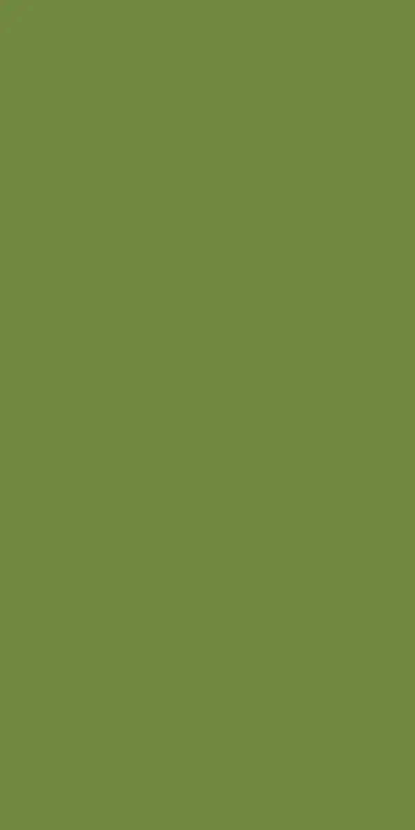 Coloris Vert feuille de la serviette en airlaid Dunisoft Duni 40 × 40 cm — pliage 1/8, 360 pièces