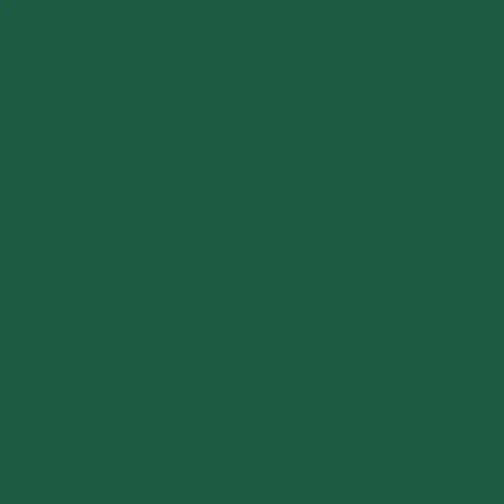 Coloris Vert foncé de la serviette en ouate Duni 33 × 33 cm — 2 plis, 2000 pièces