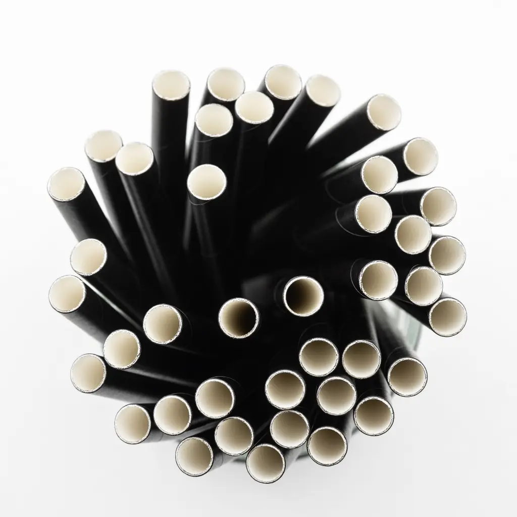 Paille en carton noire F&G Bubble Tea et milkshake 230 × 12 mm, sachet de 150