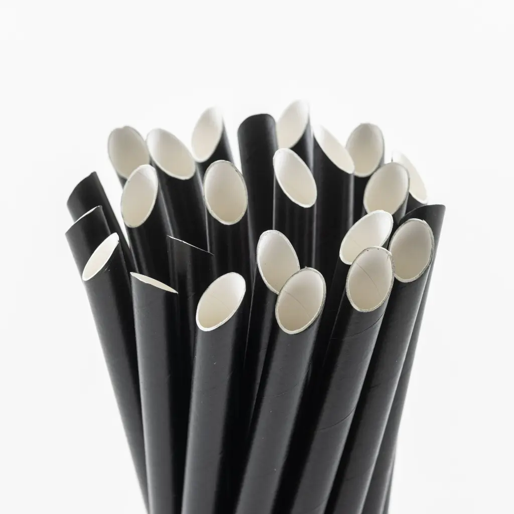 Paille en carton noire F&G Bubble Tea et milkshake 230 × 12 mm, sachet de 150