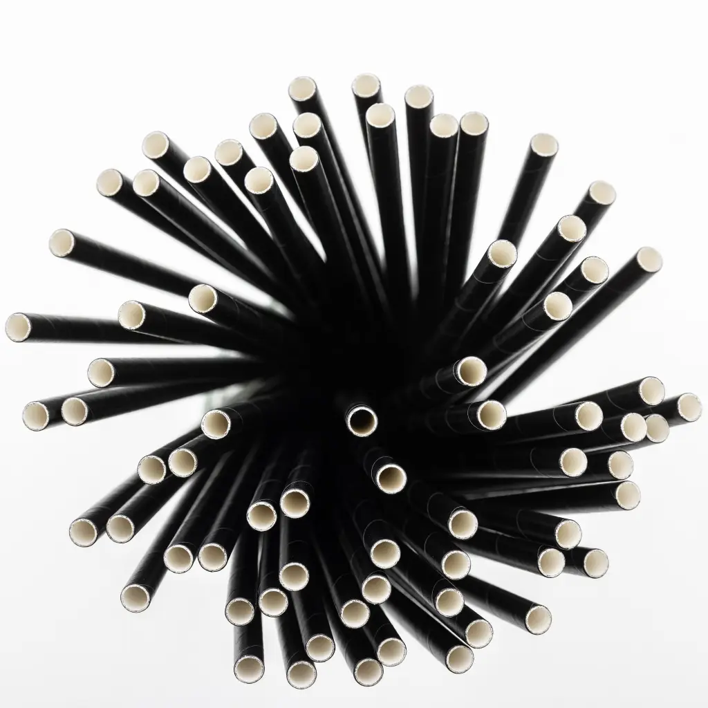 Paille en carton noire F&G 150 × 8 mm pour cocktail, sachet de 150