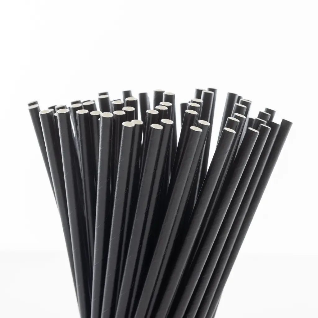 Paille en carton noire F&G 150 × 8 mm pour cocktail, sachet de 150