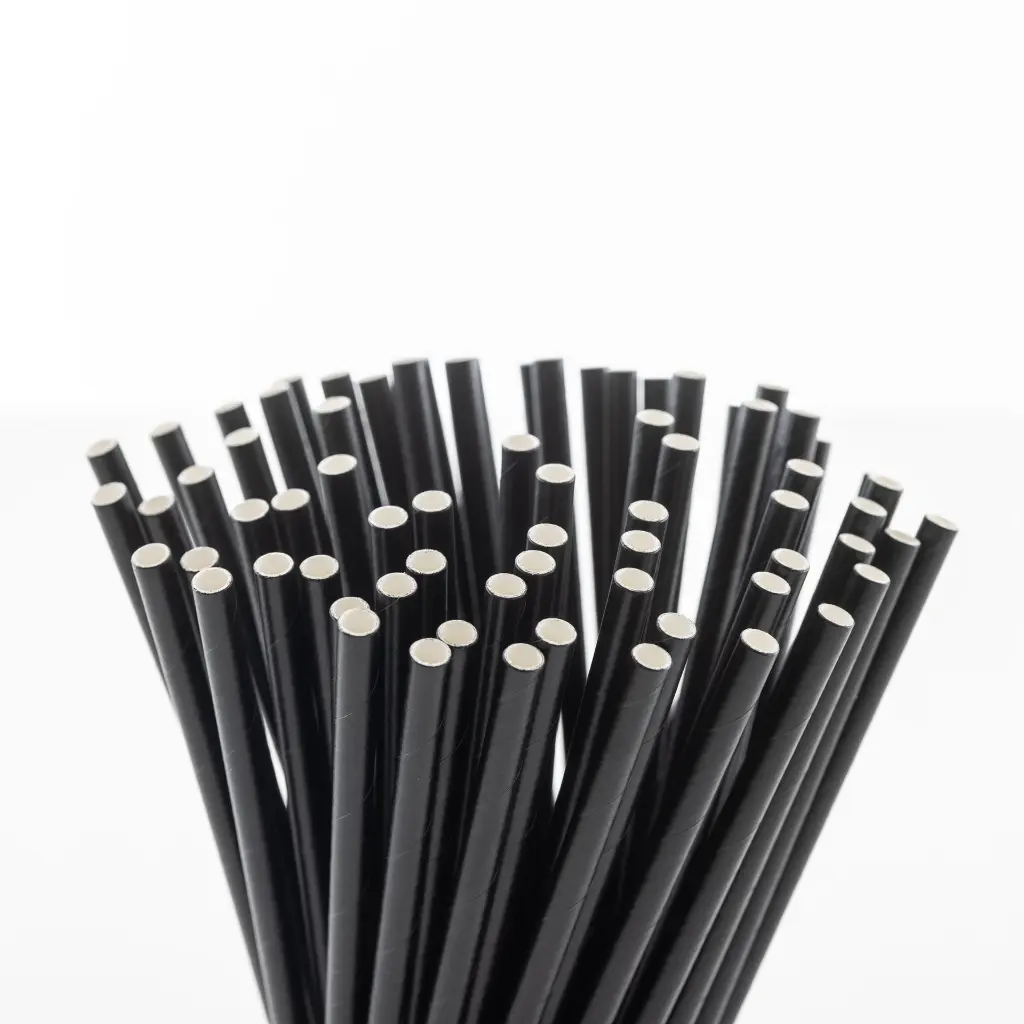 Paille en carton noire F&G 150 × 8 mm pour cocktail, sachet de 150