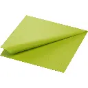 Serviettes Ouate 40x40 cm 2 Plis 1250PCS Kiwi