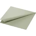 Serviettes Ouate 40x40 cm 2 Plis 1250PCS Pistachio Green