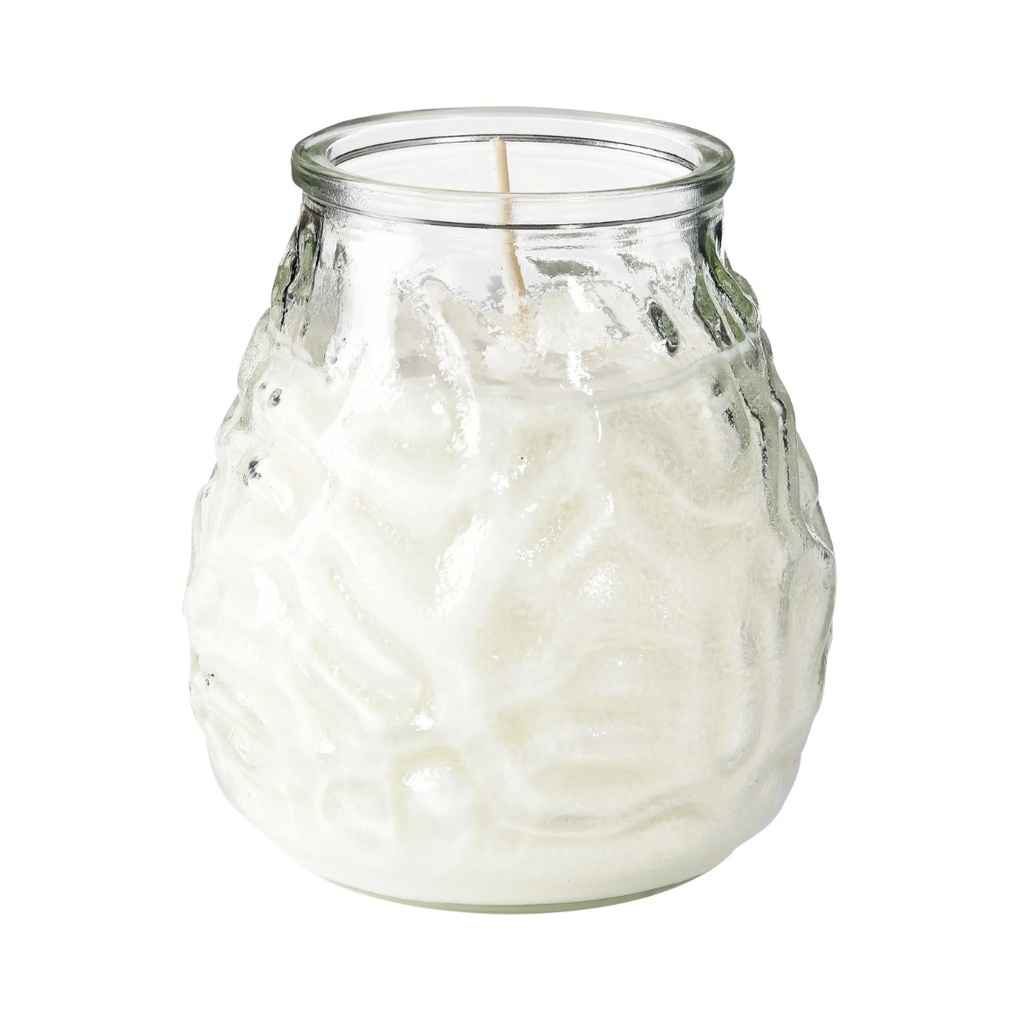 Venezianische Kerzen Transparent Bolsius Low Boy 12 Stück