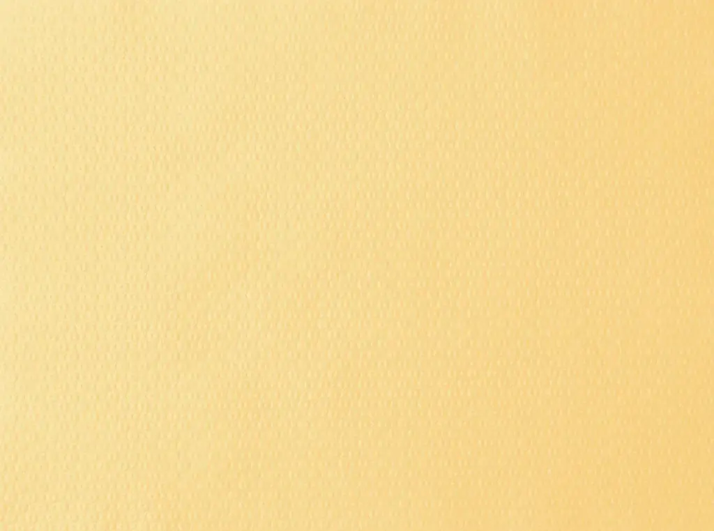 Set de table papier Crème 30 x 40 cm 1000PCS