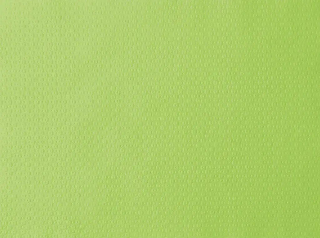 Set de table papier Kiwi 30 x 40 cm 1000PCS