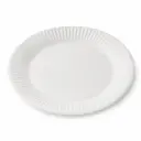 Kartonnen borden 21 cm (8 inch) – 1000 stuks