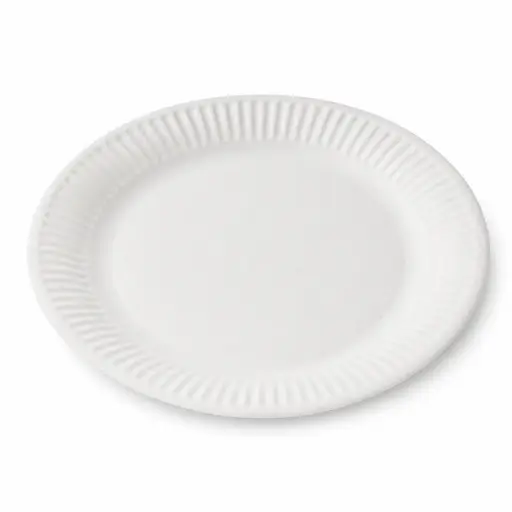 Assiettes en carton 21 cm (8 pouces) – 1000 pièces