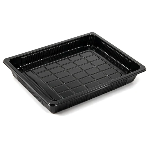 Rechteckige Sushi-Platte mit Deckel-11 – 261 × 190 × 50 mm – 200 Sets
